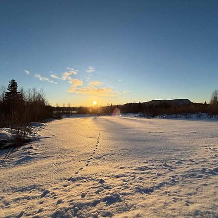 Ljungaverk Takvaning Med Ekgolv Och Badkar Naera Aelven エクステリア 写真