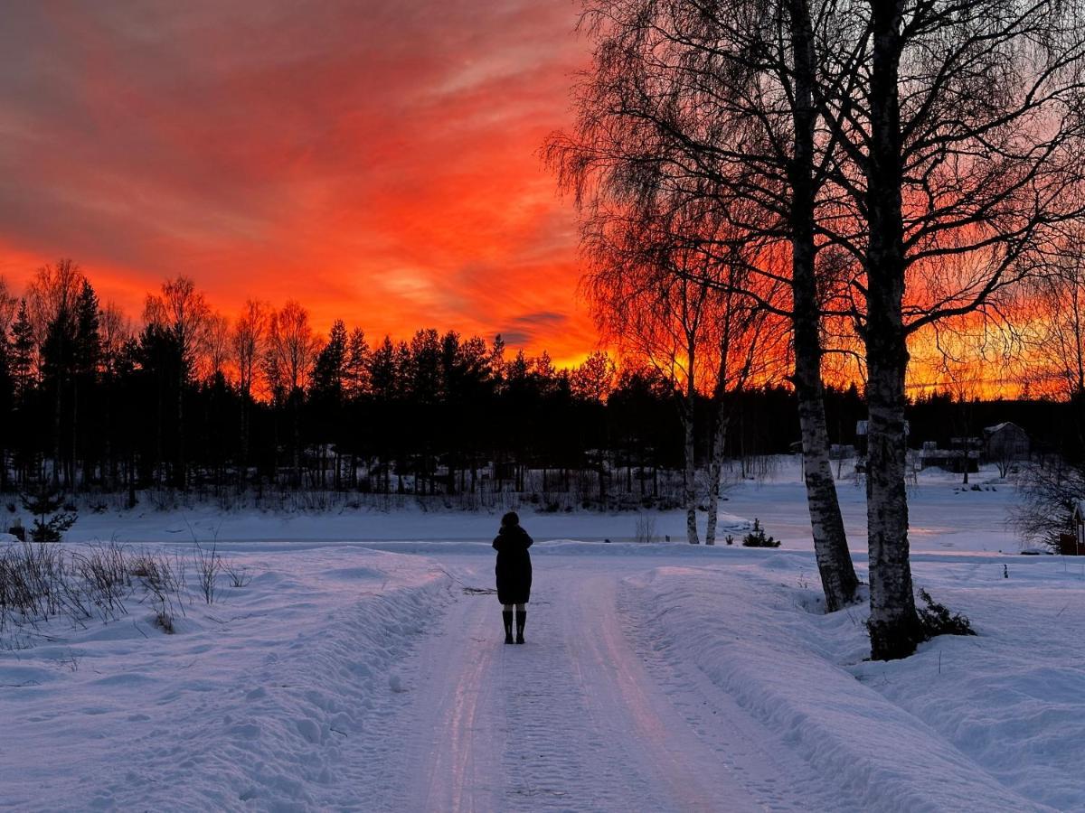 Ljungaverk Takvaning Med Ekgolv Och Badkar Naera Aelven エクステリア 写真