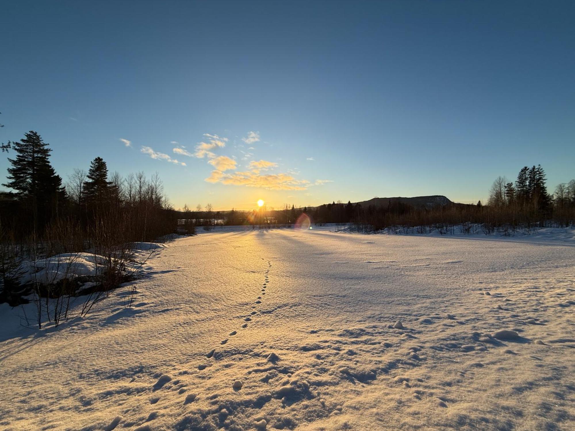 Ljungaverk Takvaning Med Ekgolv Och Badkar Naera Aelven エクステリア 写真