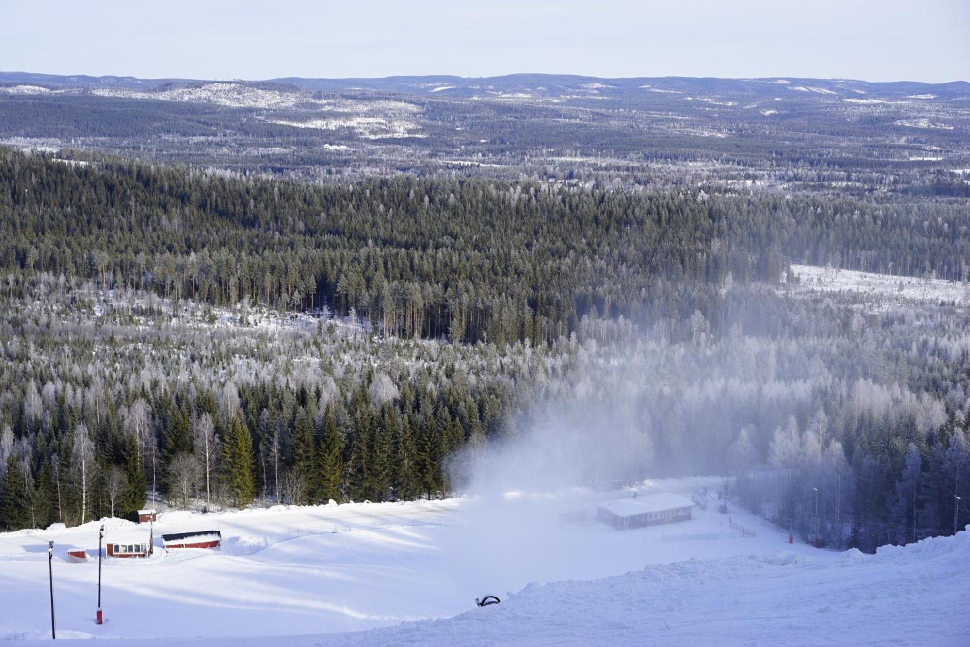 Ljungaverk Takvaning Med Ekgolv Och Badkar Naera Aelven エクステリア 写真