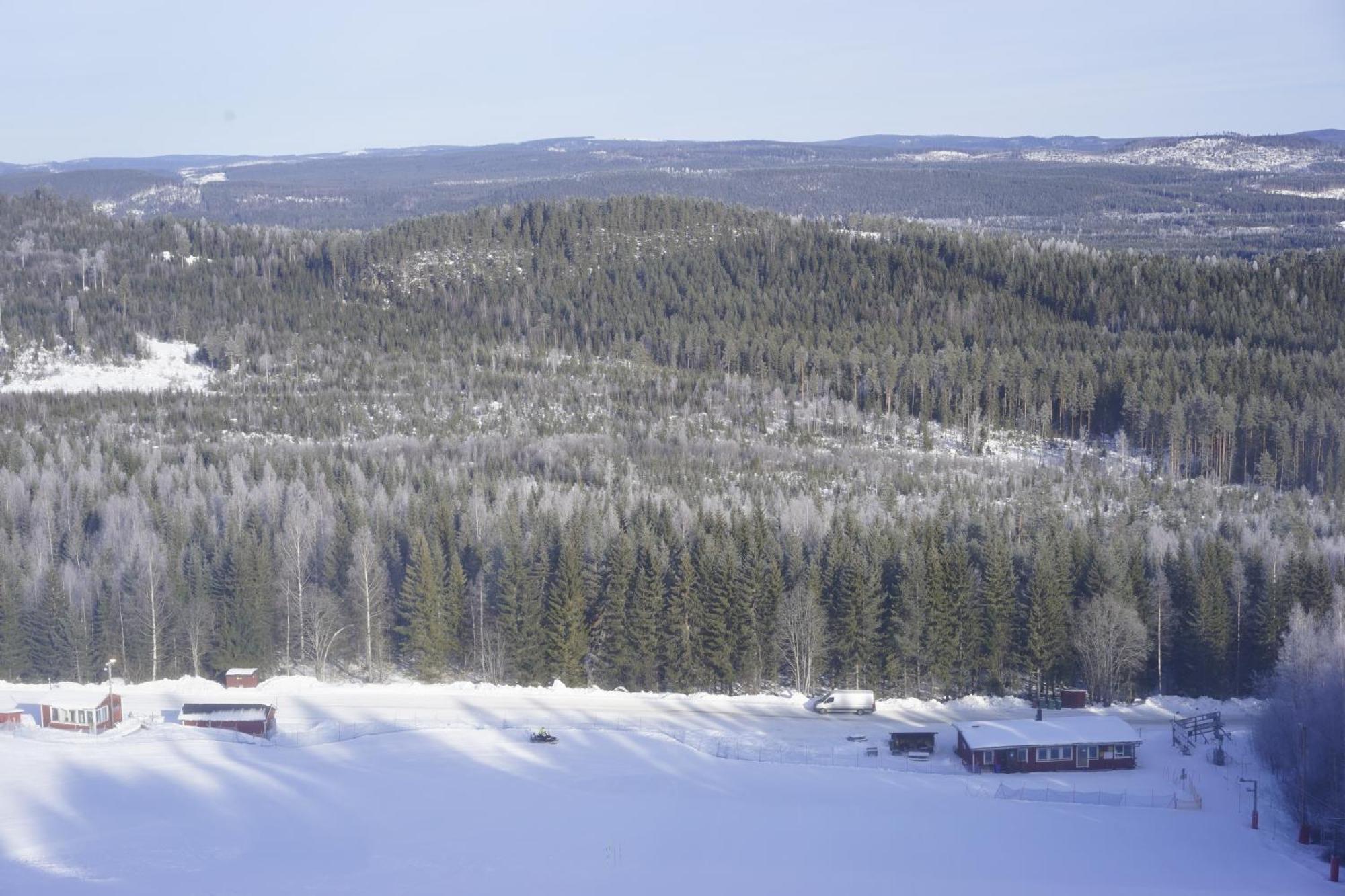 Ljungaverk Takvaning Med Ekgolv Och Badkar Naera Aelven エクステリア 写真